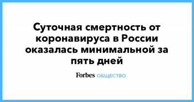 Сергей Собянин - Суточная смертность от коронавируса в России оказалась минимальной за пять дней - forbes.ru - Москва