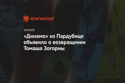 «Динамо» из Пардубице объявило о возвращении Томаша Зогорны - championat.com - Чехия
