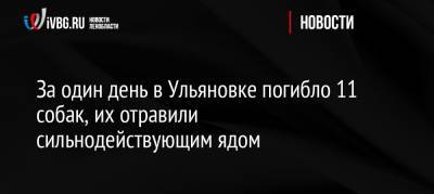 За один день в Ульяновке погибло 11 собак, их отравили сильнодействующим ядом - ivbg.ru - Ленинградская обл.