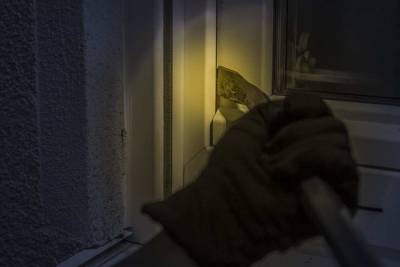 В Санкт-Петербурге вор-альпинист совершил 15 краж, ограбив людей на 20 млн рублей - actualnews.org - Ленинградская обл. - Санкт-Петербург