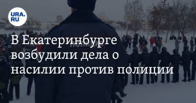Александр Шульга - В Екатеринбурге возбудили дела о насилии против полиции - ura.news - Екатеринбург - Свердловская обл.