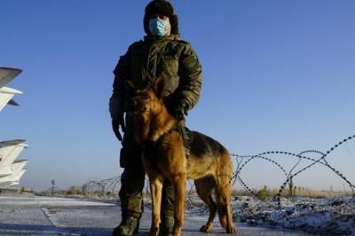 Тайип Эрдоган - Вагиф Даргяхлы - Военные готовы к началу работы в российско-турецком центре в Карабахе - aif.ru - Россия - Турция - Анкара - Азербайджан - район Агдамский - Нагорный Карабах