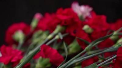 Александр Беглов - К 9 мая памятные столбы Дороги жизни получат постоянную подсветку - piter.tv - Санкт-Петербург