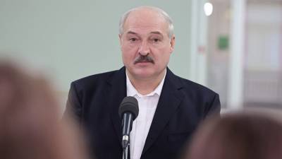 Александр Лукашенко - Олег Никитин - Лукашенко назвал сроки рассмотрения жалоб на силовиков от протестующих - nation-news.ru - Белоруссия
