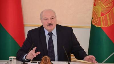 Лукашенко - Лукашенко пообещал рассмотреть к лету жалобы протестующих на силовиков - newinform.com - Белоруссия