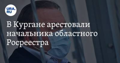 В Кургане арестовали начальника областного Росреестра - ura.news - Курганская обл. - Курган