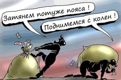 Учредитель УК потратила деньги, собранные с жильцов, на свою собаку - saratov.mk.ru - Саратов
