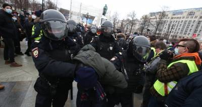 Ирина Волк - МВД РФ призвало граждан воздержаться от участия в незаконных акциях 31 января - m24.ru