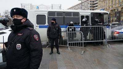 Ирина Волк - МВД вновь призвало россиян не участвовать в несанкционированных акциях - iz.ru