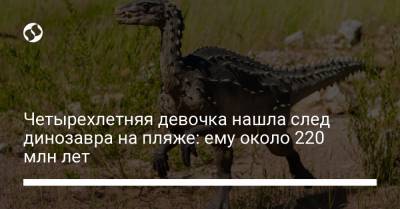 Четырехлетняя девочка нашла след динозавра на пляже: ему около 220 млн лет - liga.net - Украина
