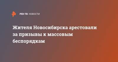 Жителя Новосибирска арестовали за призывы к массовым беспорядкам - ren.tv - Новосибирск