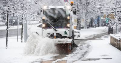 Елена Дятлова - Дятлова прокомментировала уборку снега с улиц в Калининграде - klops.ru - Калининград
