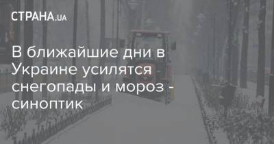 Наталья Диденко - В ближайшие дни в Украине усилятся снегопады и мороз - синоптик - strana.ua - Днепропетровская обл.