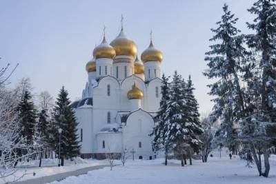 В Ярнославле Навального заменили пирожками - mkivanovo.ru - Дзержинск - Ярославль - Ленинск - Заволжск