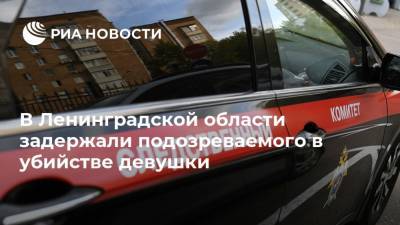 В Ленинградской области задержали подозреваемого в убийстве девушки - ria.ru - Москва - Россия - Ленинградская обл. - Мурино