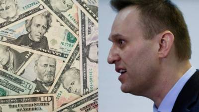Любовь Соболь - Алексей Навальный - Александр Хоменко - Спонсор Навального стал фигурантом уголовного дела - politros.com