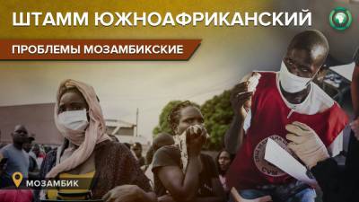 Южноафриканский штамм коронавируса захватывает Мозамбик - riafan.ru - Юар - Мозамбик