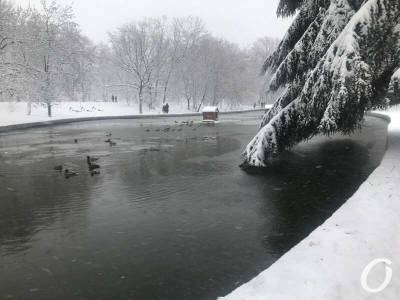 Последний день января в Одессе: что преподнесет погода? - odessa-life.od.ua - Украина - Одесса - Одесская обл.