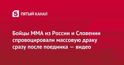Бойцы MMA из России и Словении спровоцировали массовую драку сразу после поединка — видео - 5-tv.ru - Словения - Лодзь