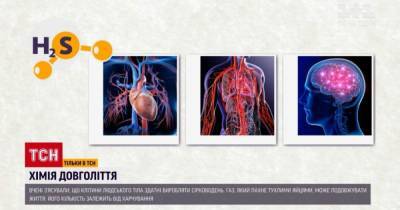 Чудодейственный газ: как сероводород может продлить жизнь человека - tsn.ua - Украина