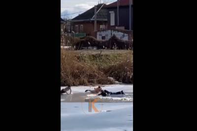 Краснодарские водители рассказали, как спасли провалившихся под лед школьников - kuban.mk.ru - Краснодар
