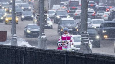 Евгений Тишковец - Михаил Леус - Синоптики рассказали о погоде в Москве 31 января - iz.ru - Москва - Израиль - Московская обл.