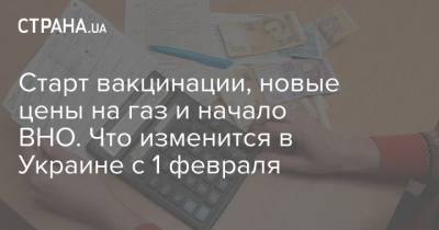 Владимир Зеленский - Старт вакцинации, новые цены на газ и начало ВНО. Что изменится в Украине c 1 февраля - strana.ua