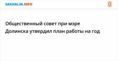 Общественный совет при мэре Долинска утвердил план работы на год - sakhalin.info - Долинск - район Долинский