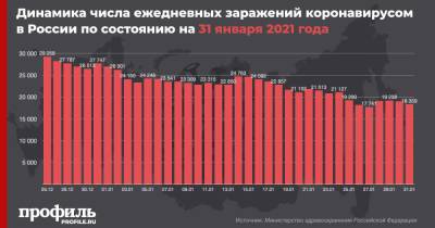 В России вновь зафиксировали спад новых случаев COVID-19 - profile.ru - Москва - Санкт-Петербург - Московская обл.