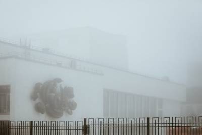 Волгоградцев в начале февраля ожидают туманы при +10 °С - volg.mk.ru - Волгоград - Волгоградская обл.