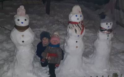 Школьник организовал парад снеговиков - lipetskmedia.ru - район Тербунский