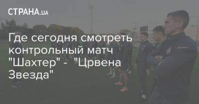 Где сегодня смотреть контрольный матч "Шахтер" - "Црвена Звезда" - strana.ua - Киев - Турция - Донецк - Тель-Авив