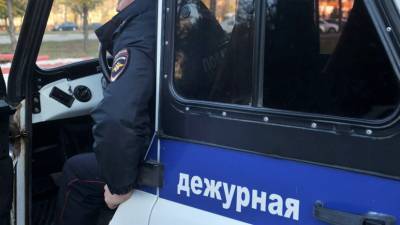 МВД сообщило о задержании мужчины за призывы к насилию в Москве - russian.rt.com - Москва