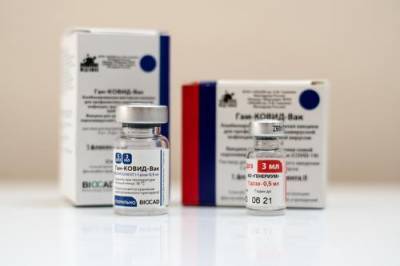 В ДНР назвали сроки начала вакцинации от коронавируса «Спутником V» - argumenti.ru - Москва - ДНР - Донецк