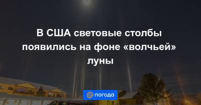 Анна Лысенко - В США световые столбы появились на фоне «волчьей» луны - news.mail.ru - США - шт. Мичиган