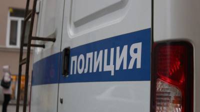 "Ему давно пора сидеть в тюрьме": участники митинга во Владивостоке о Навальном - inforeactor.ru - Хабаровск - Владивосток