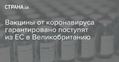 Лиз Трасс - Вакцины от коронавируса гарантировано поступят из ЕС в Великобританию - strana.ua - Англия - Лондон - Брюссель - Ирландия