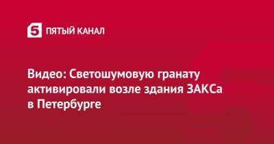 Алексей Навальный - Видео: Светошумовую гранату активировали возле здания ЗАКСа в Петербурге - 5-tv.ru - Москва - Санкт-Петербург