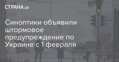 Синоптики объявили штормовое предупреждение по Украине с 1 февраля - strana.ua - Сумская обл. - Харьковская обл. - Кировоградская обл. - Черкасская обл. - Одесская обл. - Полтавская обл.