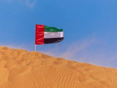 ОАЭ позволит иностранцам получить гражданство - lenta.ua - Эмираты - Гражданство