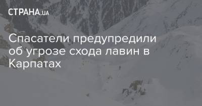 Спасатели предупредили об угрозе схода лавин в Карпатах - strana.ua - Украина - Ивано-Франковская обл. - Закарпатская обл.