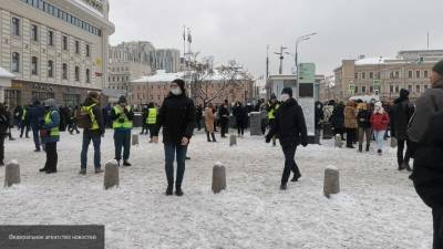 В Петербурге провокаторы Навального призывают избивать полицию и несогласных - nation-news.ru - Санкт-Петербург