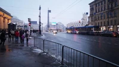Движение по Невскому проспекту восстановили после протестной акции - piter.tv