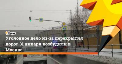Уголовное дело из-за перекрытия дорог 31 января возбудили в Москве - ridus.ru - Москва