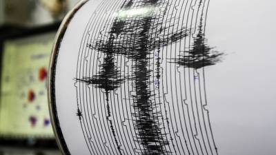 В Гайане зафиксировано мощное землетрясение - vesti.ru - Джорджтаун - Гайана