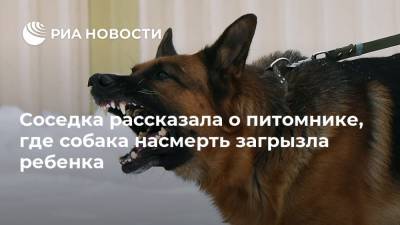 Соседка рассказала о питомнике, где собака насмерть загрызла ребенка - ria.ru - Москва - Московская обл.