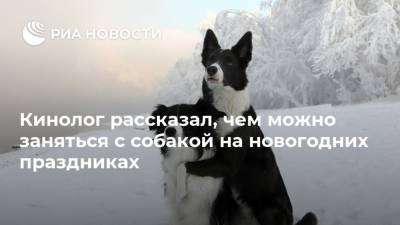 Владимир Голубев - Кинолог рассказал, чем можно заняться с собакой на новогодних праздниках - ria.ru - Москва - Россия
