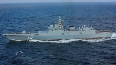 Аглая Чайковская - Пуск ракет "Циркон" с "Адмирала Горшкова" запланирован до конца 2021 года - politros.com