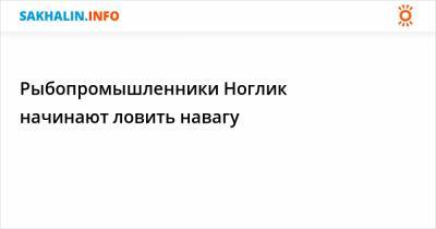 Рыбопромышленники Ноглик начинают ловить навагу - sakhalin.info