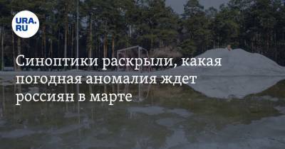 Евгений Тишковец - Роман Вильфанд - Синоптики раскрыли, какая погодная аномалия ждет россиян в марте - ura.news